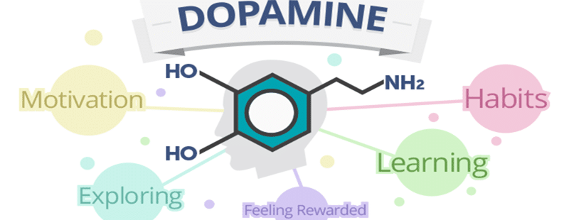 Dopamine molecule and its brain effects