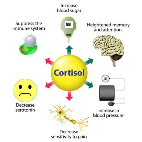 MyHealthBuddy - Popularly known as the Stress Hormone Cortisol as it39s  name suggests is released when our body is under some kind of stress That  stress can be actual danger you step