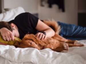 person and dog sleeping on bed